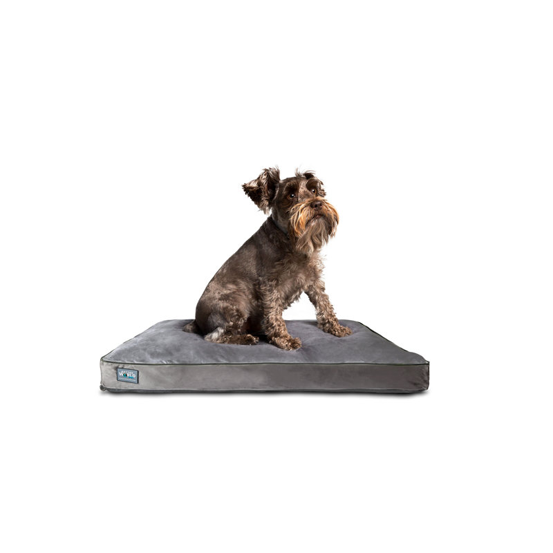 BetterWorldPets Better World Pets Orthopedic Polyester Pet Bed & Reviews Wayfair